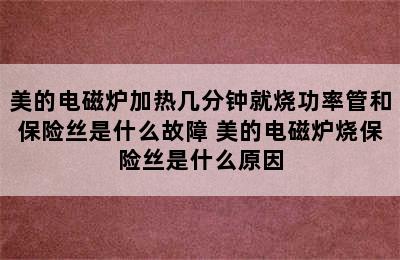 美的电磁炉加热几分钟就烧功率管和保险丝是什么故障 美的电磁炉烧保险丝是什么原因